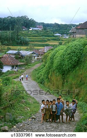 boys, indonesia, kids, children, muslim, 3756 View Large Photo Image Stock Image - boys, indonesia, kids, children, muslim, 3756. Fotosearch