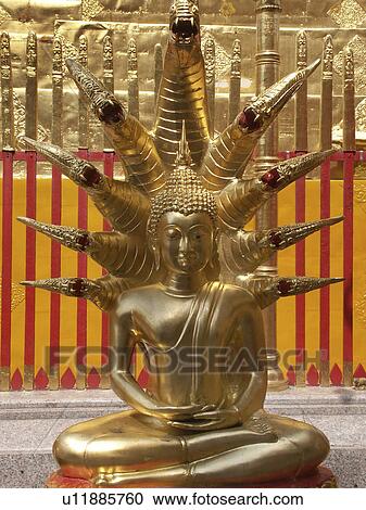 buddha, person, thailand, 03, thai, people View Large Photo Image Stock Image - buddha, person, thailand, 03, thai, people. Fotosearch