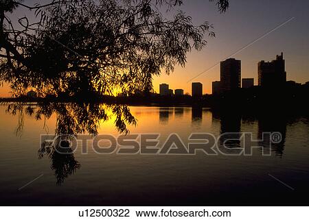 ca, lake, oakland, sunset, merritt, tree View Large Photo Image Stock Image - ca, lake, oakland, sunset, merritt, tree. Fotosearch