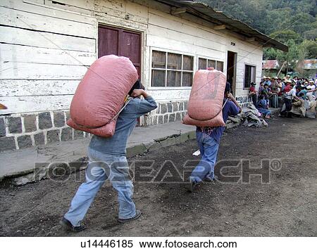 Stock Photography - carrying, coffee, men, guatemala, person, people. Fotosearch