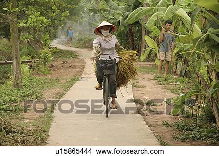 carrying, people, female, vietnam, person, woman View Large Photo Image Picture - carrying, people, female, vietnam, person, woman. Fotosearch
