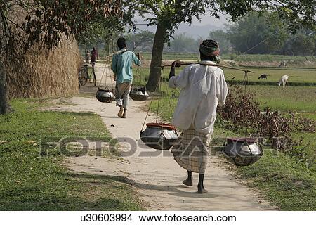 Picture - carrying, person, farmers, bangladesh, fish, people. Fotosearch