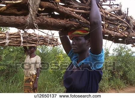 carrying, sudan, female, females, women, south View Large Photo Image Stock Photo - carrying, sudan, female, females, women, south. Fotosearch