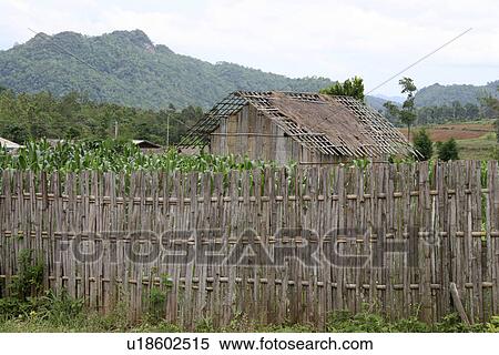 Stock Photography - chiang, home, fence, garden, thailand, house. Fotosearch