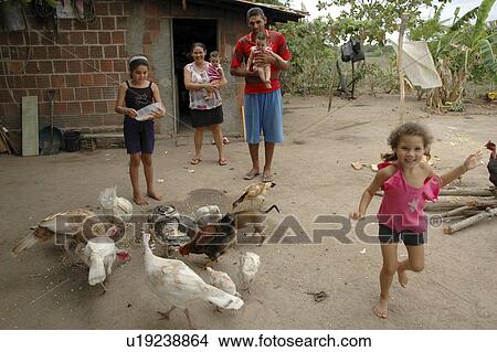 chickens, people, feeding, brazil, person, family View Large Photo Image Picture - chickens, people, feeding, brazil, person, family. Fotosearch