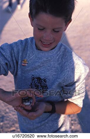 child, released, closeup, frog, boy, model View Large Photo Image Stock Image - child, released, closeup, frog, boy, model. Fotosearch