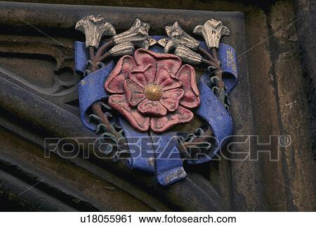 college, detail, magdalen, lilies, rose, architectural View Large Photo Image Stock Image - college, detail, magdalen, lilies, rose, architectural. Fotosearch
