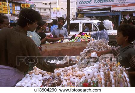 coral, person, environment, india, 5289, people View Large Photo Image Stock Image - coral, person, environment, india, 5289, people. Fotosearch