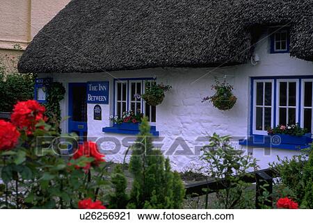 cottage, red, roofed, thatched, flowers, lush View Large Photo Image Stock Image - cottage, red, roofed, thatched, flowers, lush. Fotosearch