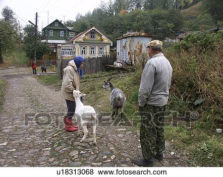 couple, elderly, 7936, person, people View Large Photo Image Stock Photo - couple, elderly, 7936, person, people. Fotosearch