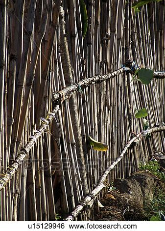 Stock Photograph - detail, pattern, guatemala, person, nature, people. Fotosearch