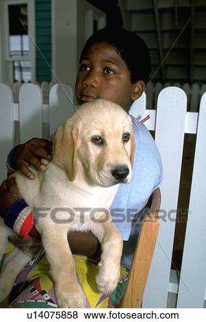 dog, boy, retriever, labrador, white, black View Large Photo Image Stock Photo - dog, boy, retriever, labrador, white, black. Fotosearch