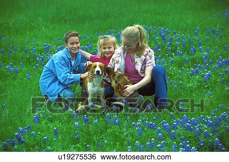 dogs, bluebonnet, kids, children, field, animals View Large Photo Image Stock Photograph - dogs, bluebonnet, kids, children, field, animals. Fotosearch