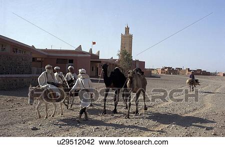 Stock Image - donkeys, person, camels, morocco, 3334, people. Fotosearch