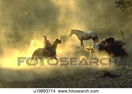 Picture - dust, horse, evening, horses, cowboy, silhouette. Fotosearch