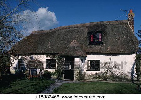 Stock Photography - europe, thatched, england, dorset, cottage, white. Fotosearch
