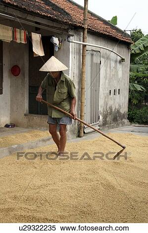 Stock Photography - farmer, house, vietnam, sun, person, people. Fotosearch