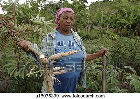 farmer, people, brazil, female, person, woman View Large Photo Image Stock Photo - farmer, people, brazil, female, person, woman. Fotosearch