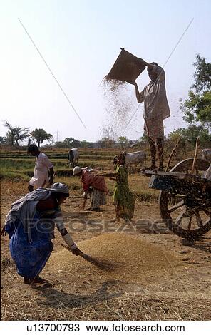 Stock Image - farming, fitness, india, 5283, person, people. Fotosearch