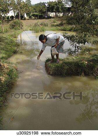 feeding, people, honduras, fish, person, woman View Large Photo Image Stock Photo - feeding, people, honduras, fish, person, woman. Fotosearch