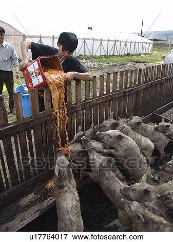 Stock Photo - feeding, person, boy, mongolia, children, people. Fotosearch