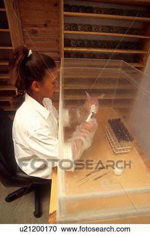 Stock Image - female, people, 3370, person, technology, woman. Fotosearch