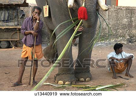 Stock Photo - festival, people, elephant, india, person, party. Fotosearch