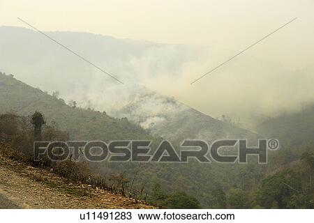fires, person, burn, slash, laos, people View Large Photo Image Stock Image - fires, person, burn, slash, laos, people. Fotosearch