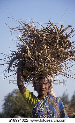 Stock Image - firewood, people, carrying, india, person, woman. Fotosearch