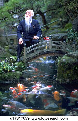 fish, carps, garden, japanese, water View Large Photo Image Stock Photo - fish, carps, garden, japanese, water. Fotosearch