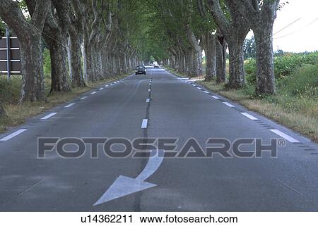 france, simetrical, provence, road, trees, canapy View Large Photo Image Stock Image - france, simetrical, provence, road, trees, canapy. Fotosearch