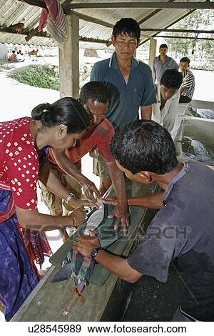Stock Photo - fsh, person, injecting, bangladesh, fish, people. Fotosearch