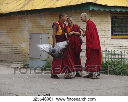 gandan, person, monks, buddhist, mongolia, people View Large Photo Image Stock Image - gandan, person, monks, buddhist, mongolia, people. Fotosearch