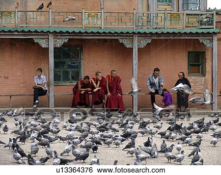 gandan, person, visitors, pigeons, mongolia, people View Large Photo Image Stock Photograph - gandan, person, visitors, pigeons, mongolia, people. Fotosearch