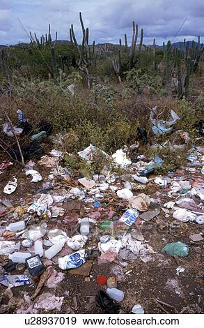 garbage, person, environment, venezuela, 5214, people View Large Photo Image Stock Photo - garbage, person, environment, venezuela, 5214, people. Fotosearch