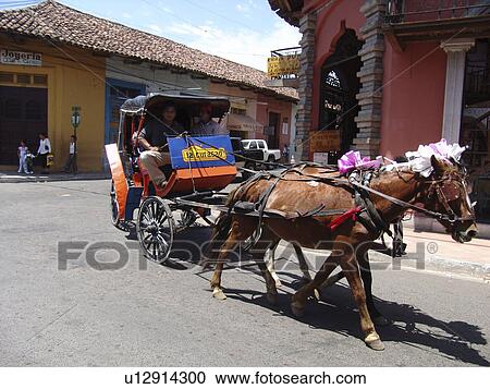 Stock Image - granada, horse, cart, nicaragua, person, people. Fotosearch