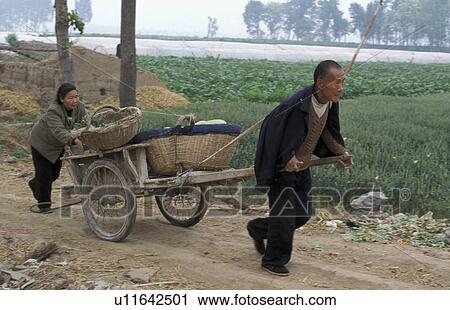 Stock Image - hand, 7088, women, person, people. Fotosearch