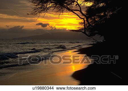 hawaii, water, sunset, hawaiian, nature, beach View Large Photo Image Picture - hawaii, water, sunset, hawaiian, nature, beach. Fotosearch