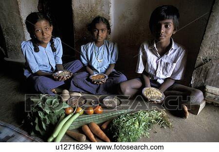 healthy, horse, india, children, person, people View Large Photo Image Picture - healthy, horse, india, children, person, people. Fotosearch