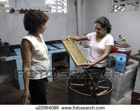 honey, frame, honduras, person, people, fashion View Large Photo Image Stock Photograph - honey, frame, honduras, person, people, fashion. Fotosearch