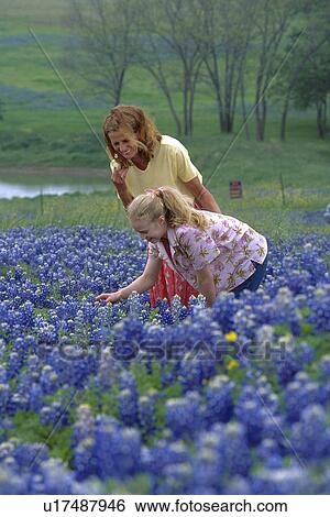 Stock Photograph - images, field, grandmother, granddaughter, ennis, bluebonnet. Fotosearch