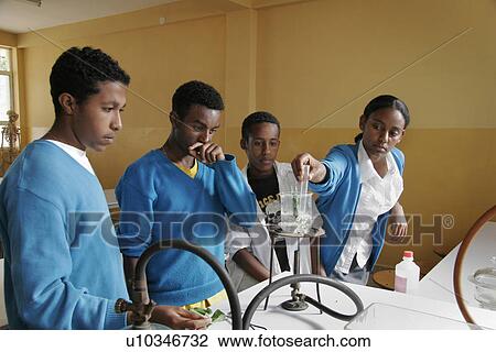 kid, child, children, school, person, people View Large Photo Image Stock Image - kid, child, children, school, person, people. Fotosearch