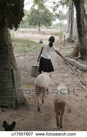 kid, girl, children, person, child, people View Large Photo Image Stock Photo - kid, girl, children, person, child, people. Fotosearch