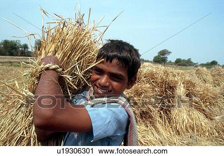 Stock Image - labor, person, india, 5015, children, people. Fotosearch