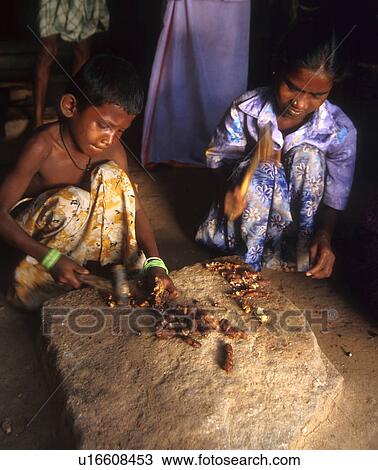 labor, person, india, 5019, children, people View Large Photo Image Stock Image - labor, person, india, 5019, children, people. Fotosearch
