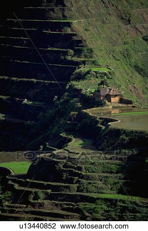 Stock Image - land, nature, strata, terraces, rice, house. Fotosearch