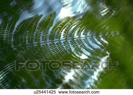 looking, textures, design, graphic, patterns, background View Large Photo Image Stock Photography - looking, textures, design, graphic, patterns, background. Fotosearch