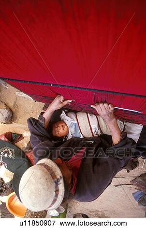 Stock Photo - loom, bolivia, weaving, woman, jalqa, 3698. Fotosearch