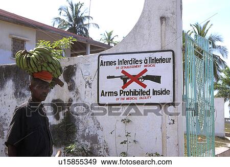 male, bananas, 3720 View Large Photo Image Stock Photo - male, bananas, 3720. Fotosearch