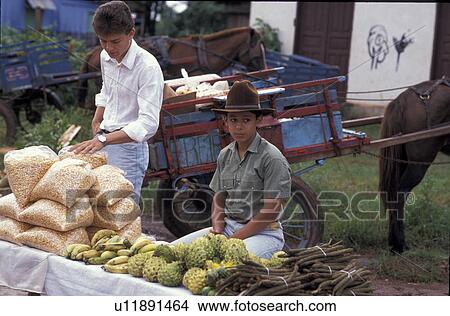 Picture - market, person, farmers, brazil, 4041, people. Fotosearch